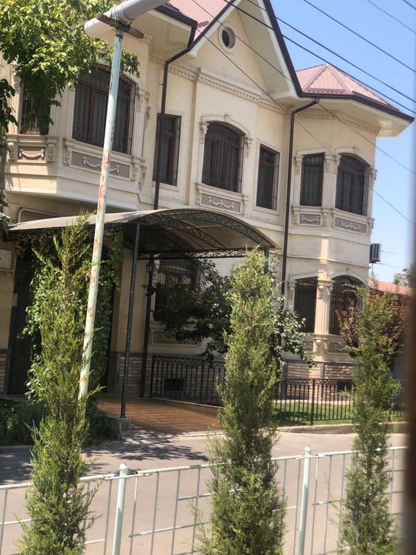 Black cat watches a Tashkent street from behind lace curtains