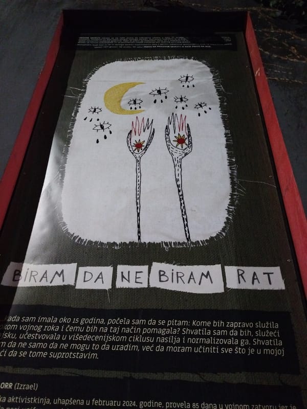 Outdoor art and punk fest posters on display in Novi Sad