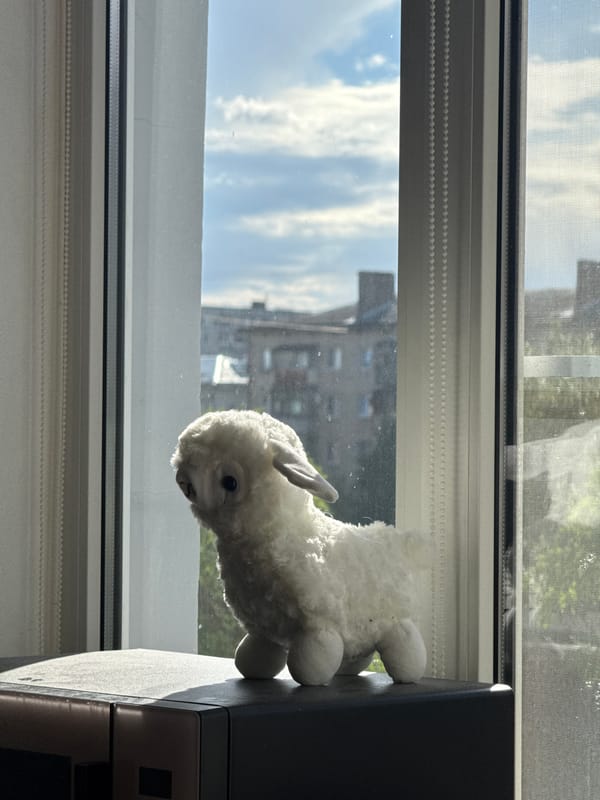 Cozy Volgograd apartment interior with windowsill decor and keepsakes