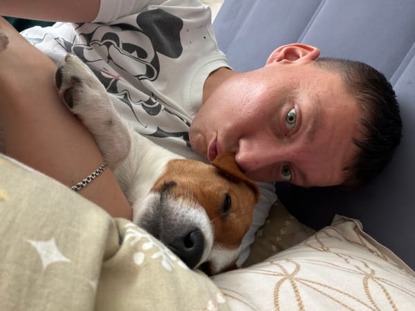 Moscow morning: resident shares quiet moments with Jack Russell Terrier