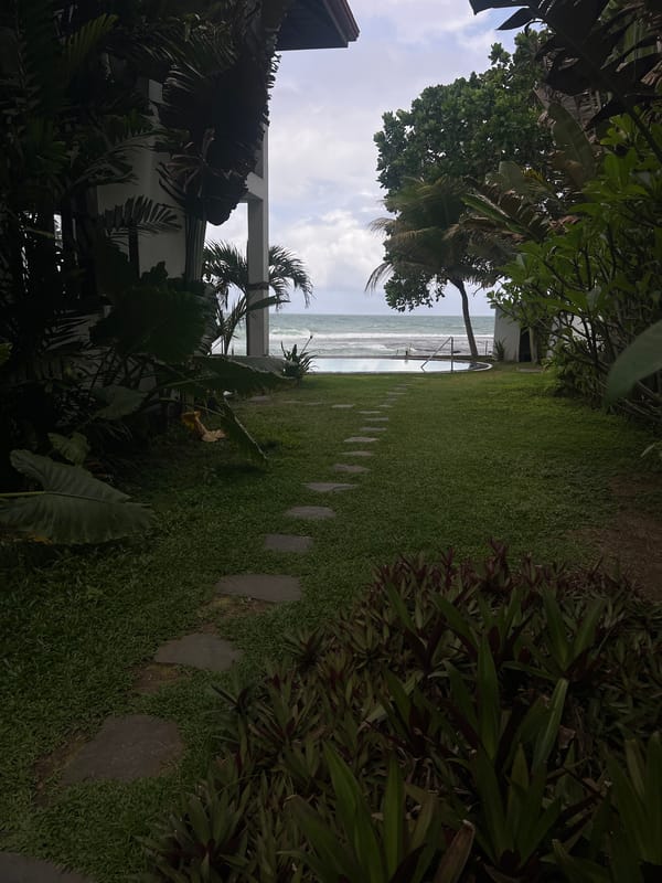 Morning coastal scenes documented across Sri Lankan villages
