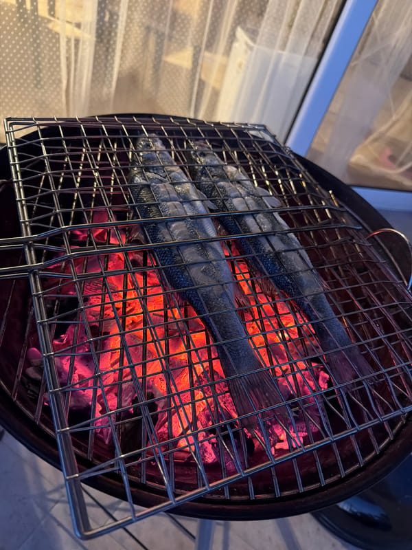 Family barbecue with grilled sea bass and kitten in Montenegro