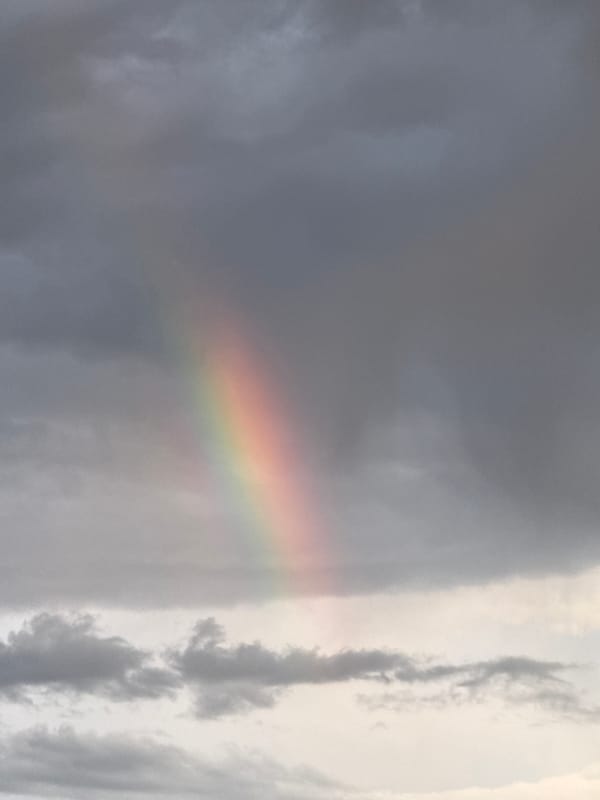 Tbilisi witnesses document rainbow phenomenon and resting Chihuahua