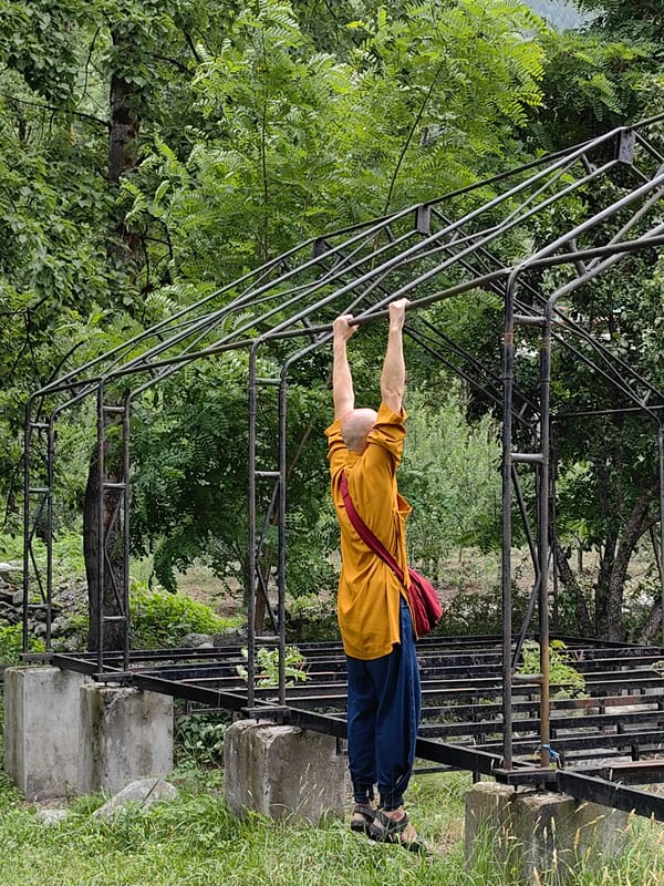 Morning nature walk through Himalayan villages captures wildlife and construction