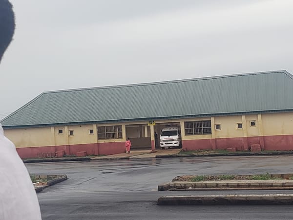 Morning street scenes documented across Gumel, Nigeria by witness