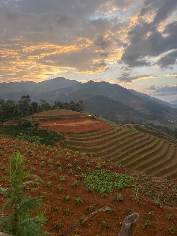 Ford Ranger navigates rural Vietnamese roads near rice terraces
