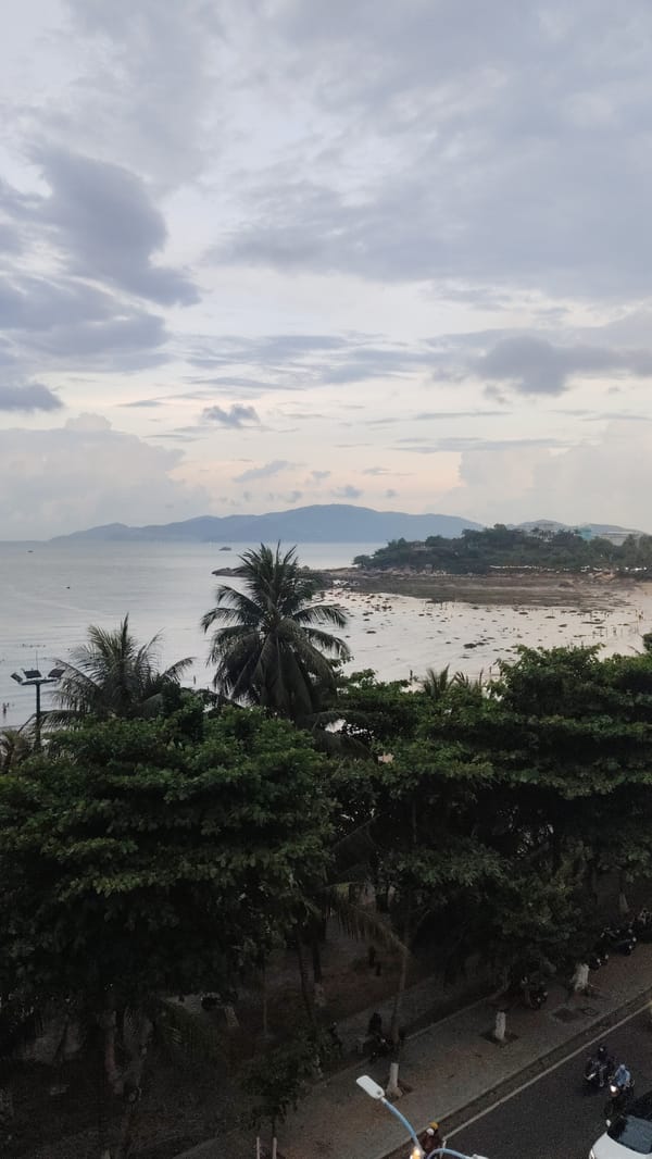 Strong winds sweep Nha Trang coastline as palm trees sway