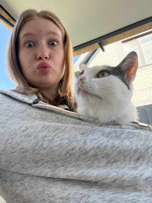 Woman photographs morning moments with cats in Rossiyskiy, Russia