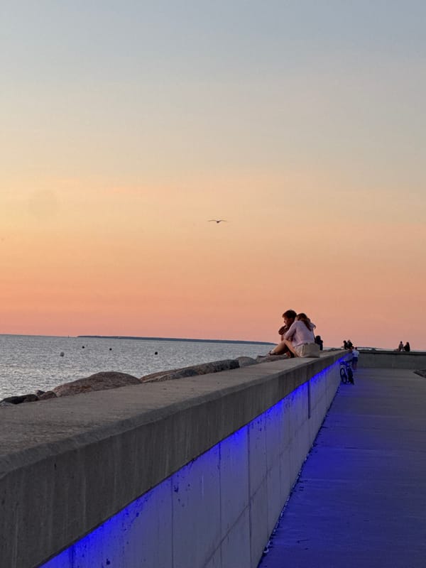 Tallinn marina at golden hour, people soaking in the Baltic sunset