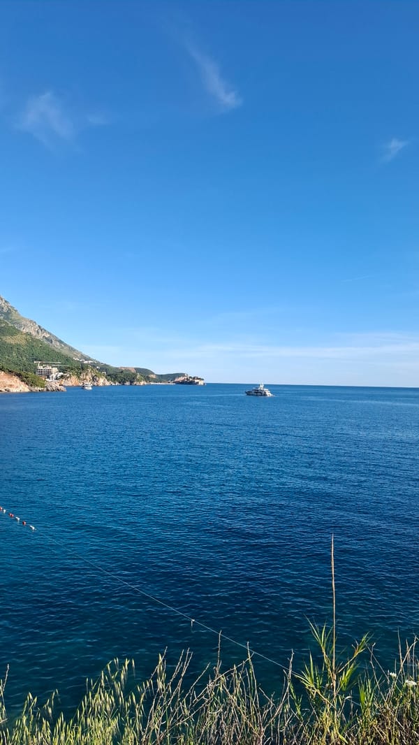 Ship observed near populated coastline under clear skies