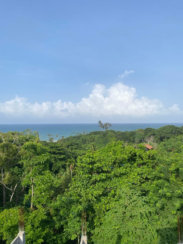 Tropical coastal town: construction, fishing, and everyday street life