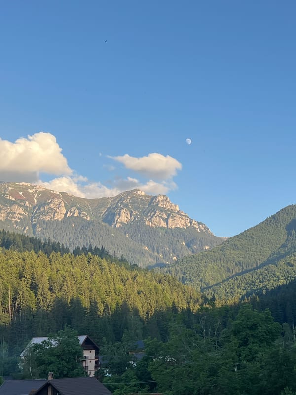 Alpine landscapes and backyard scenes on a summer afternoon