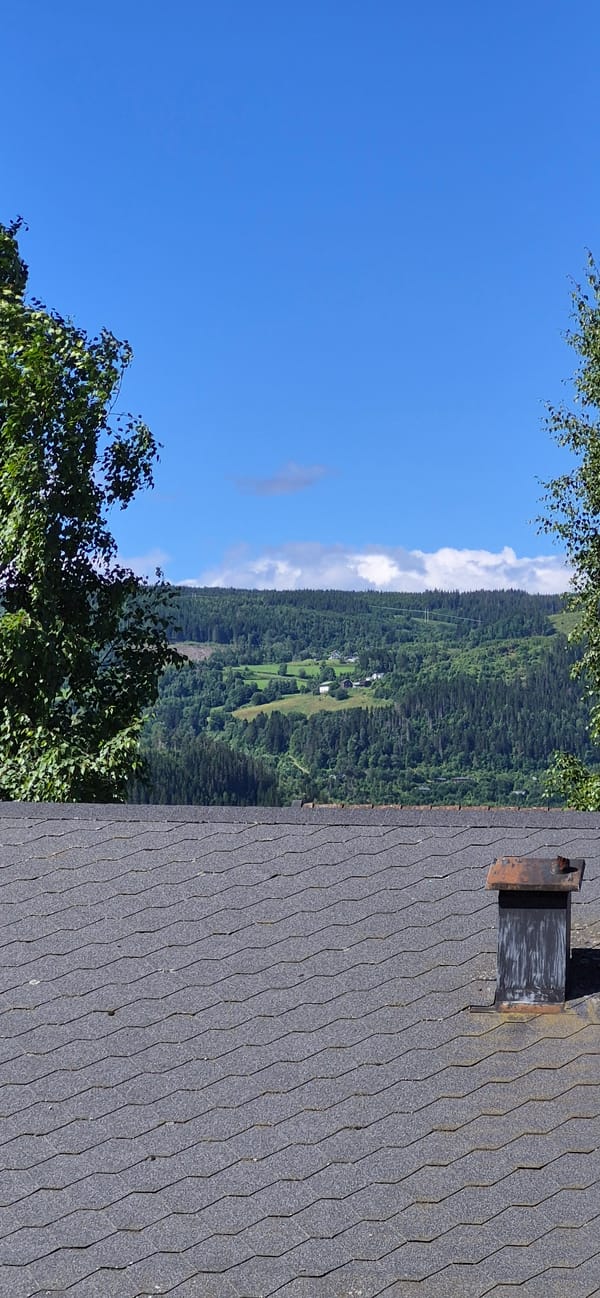 Rooftop views over a valley with a crane on the horizon