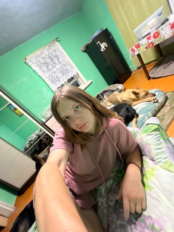 Lazy afternoon at home in Nizhny Tagil with dogs and a cat