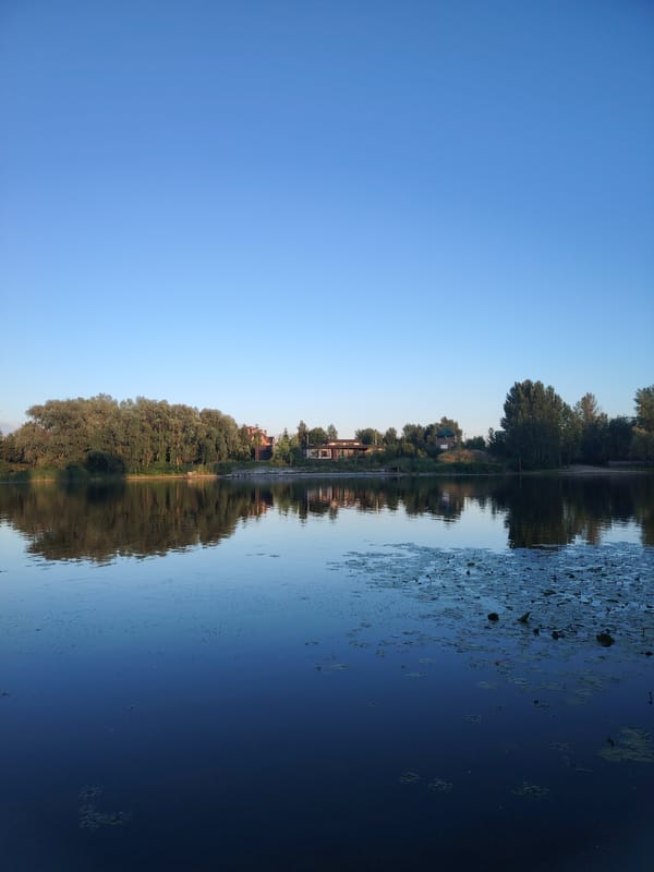 Lazy summer afternoon by the reservoir — nature, caterpillars, casual shooting