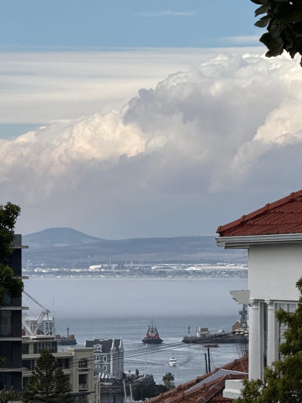 Witness documents ordinary Cape Town neighborhood scenes over six minutes