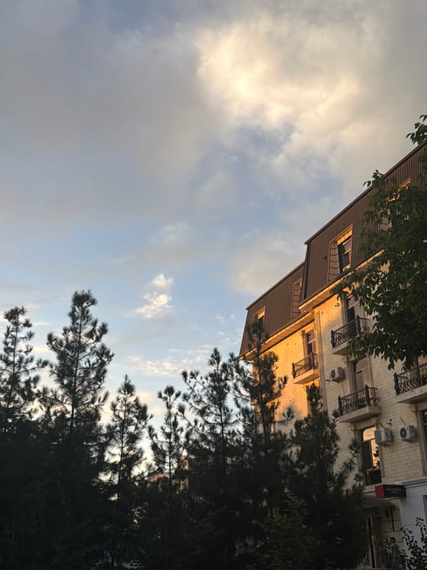Tashkent afternoon: dumplings, a sleepy cat, city streets