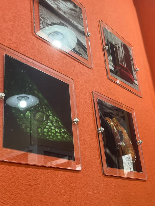 Diner documents shawarma meal at Saint Petersburg restaurant