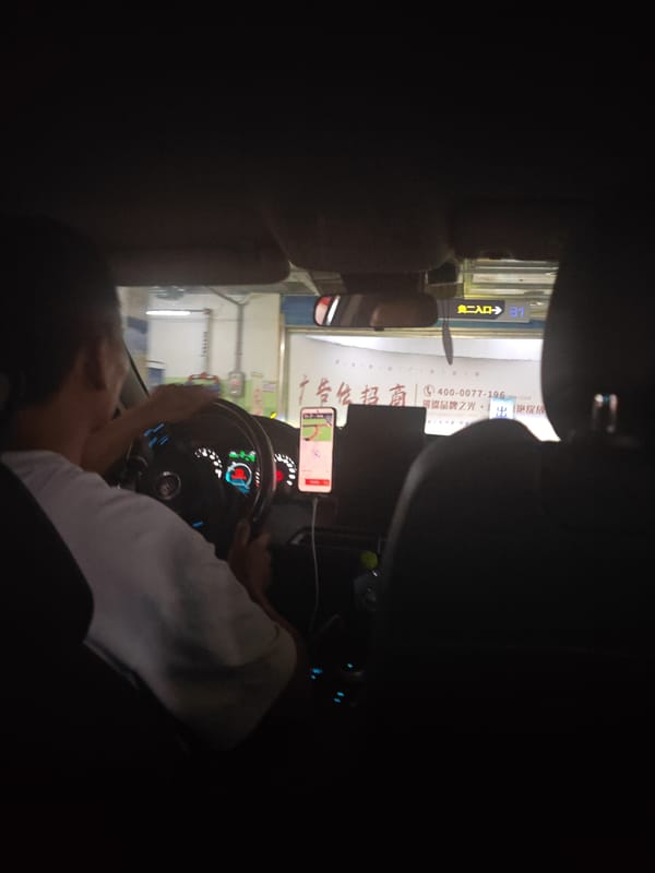Driver in light clothing captured from rear passenger seat