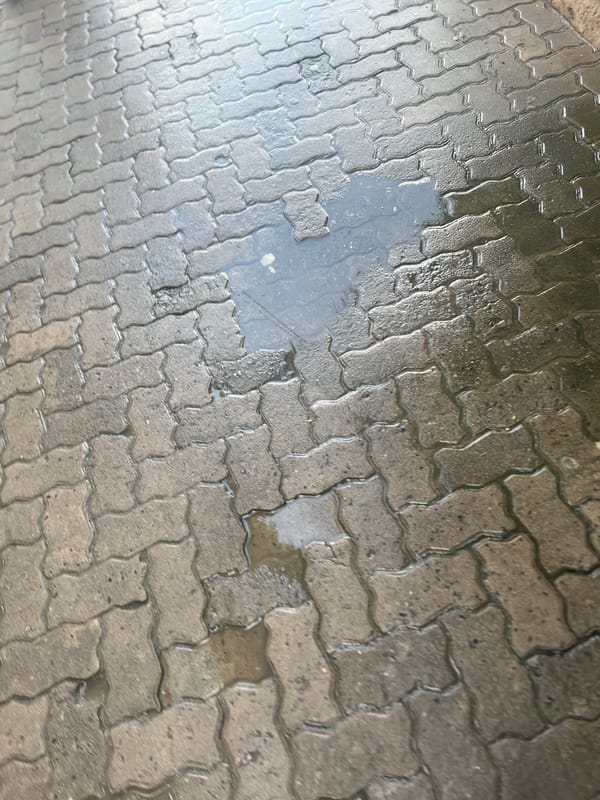Wet pavement blocks observed after rain in Dar es Salaam