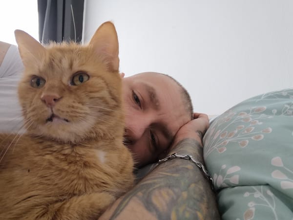 Man shares quiet bed time with orange tabby cat