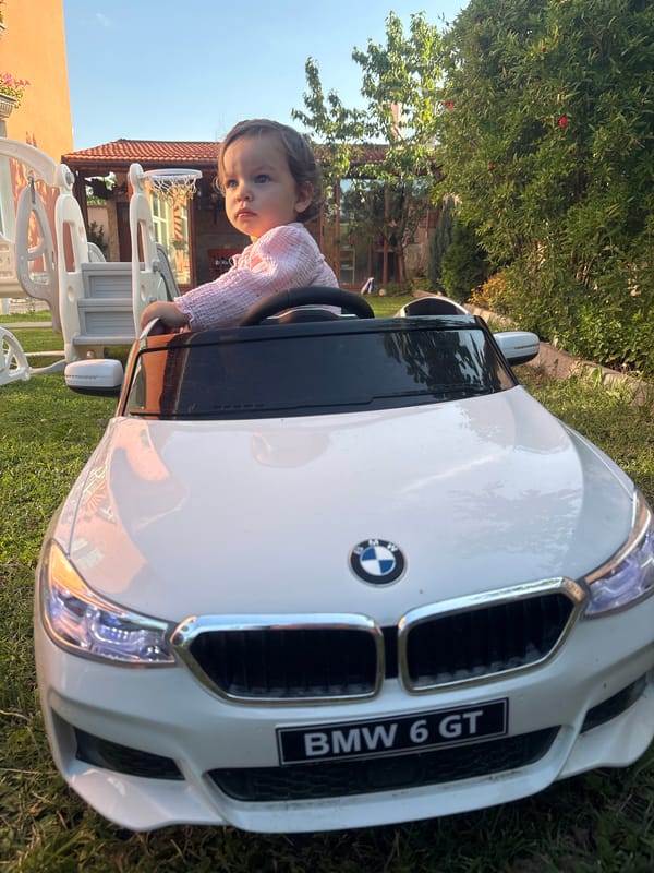 Backyard playtime in Strelcha featuring a toy BMW and more