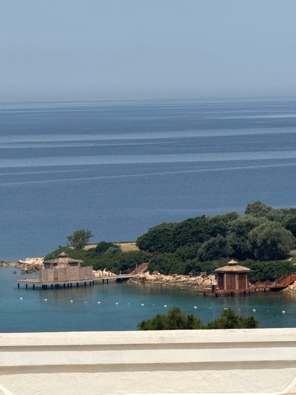 Morning coastal views captured in Bodrum showing paddleboarders