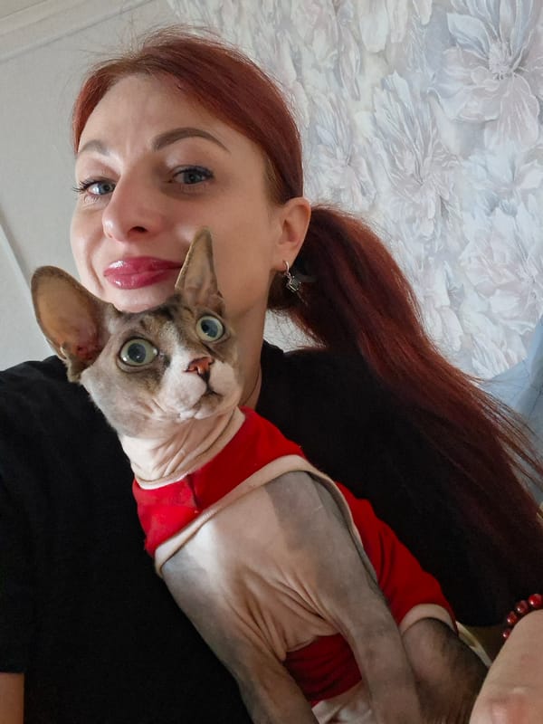 Cats at home in rural Belarus, Sphynx and tabbies.