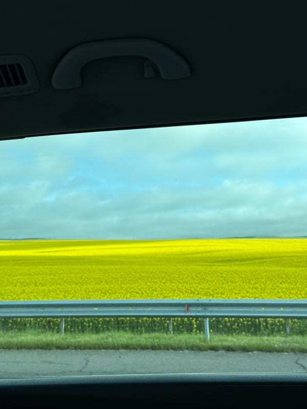 Car interior view captured from rear passenger window in Bulgaria