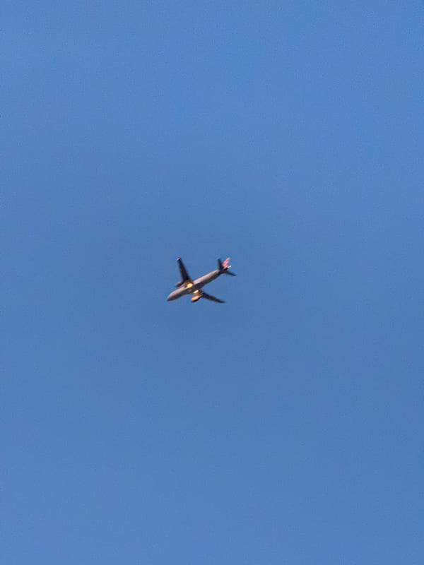 Quiet evening in a Varna neighborhood, planes overhead and cats below