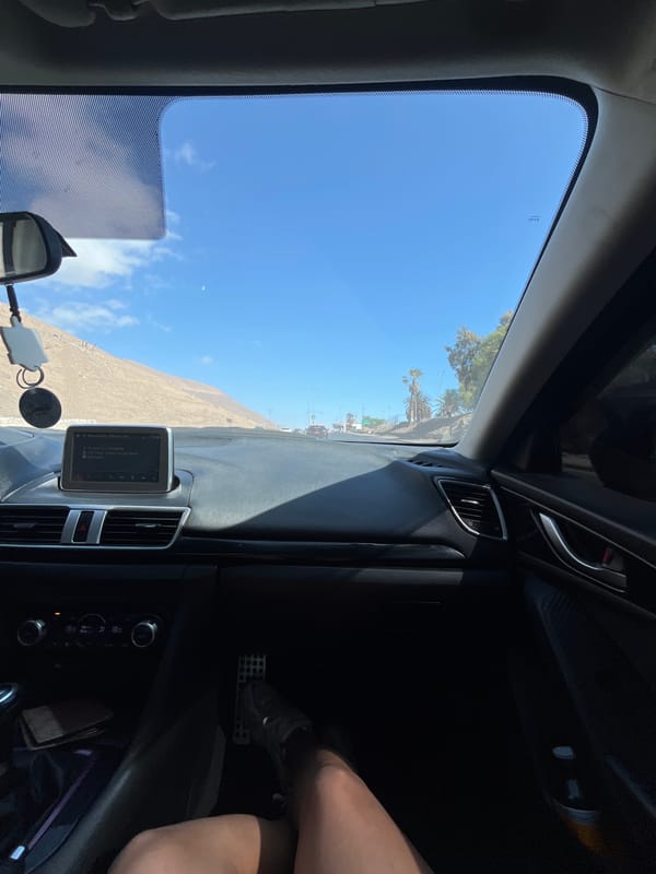 Driver's view of road approaching palm-lined town