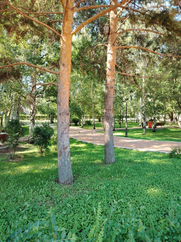 Quiet park details in Astana on a summer morning