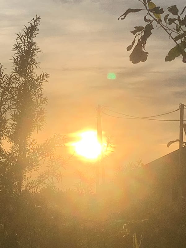 Golden hour in Gvardeysk: bikes, wildflowers, and a slow sunset