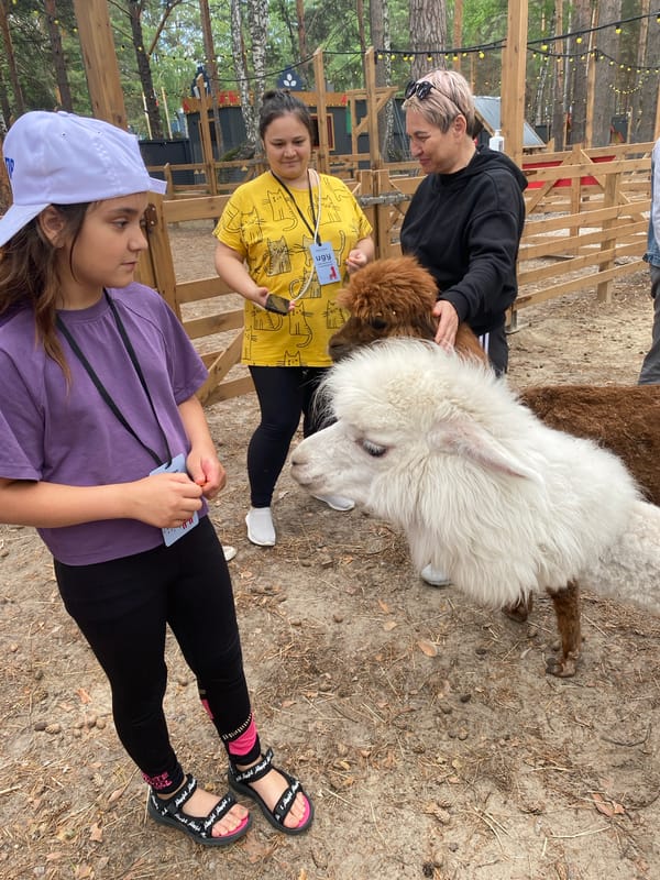 Families visit alpaca petting zoo in Tyumen Russia