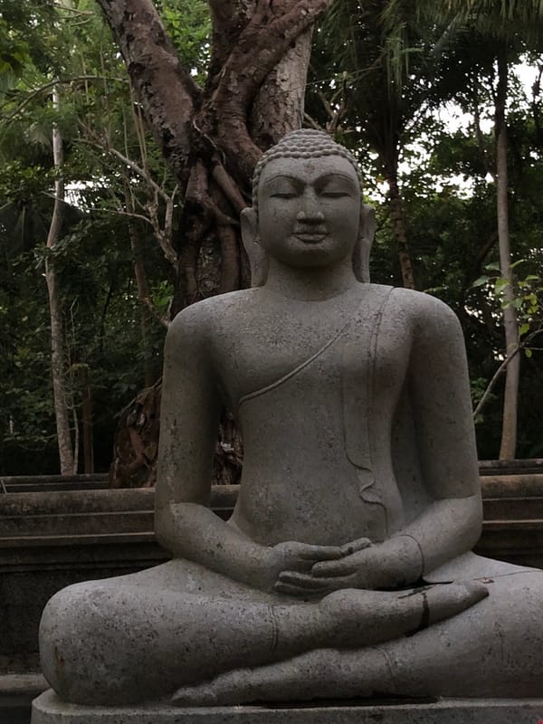 Lagoons, cattle, and Buddha figures along Sri Lanka's southern coast