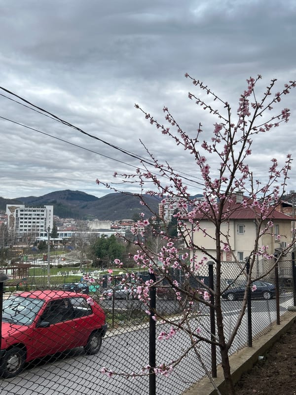 Spring blossoms bloom across Zlatograd under cloudy skies