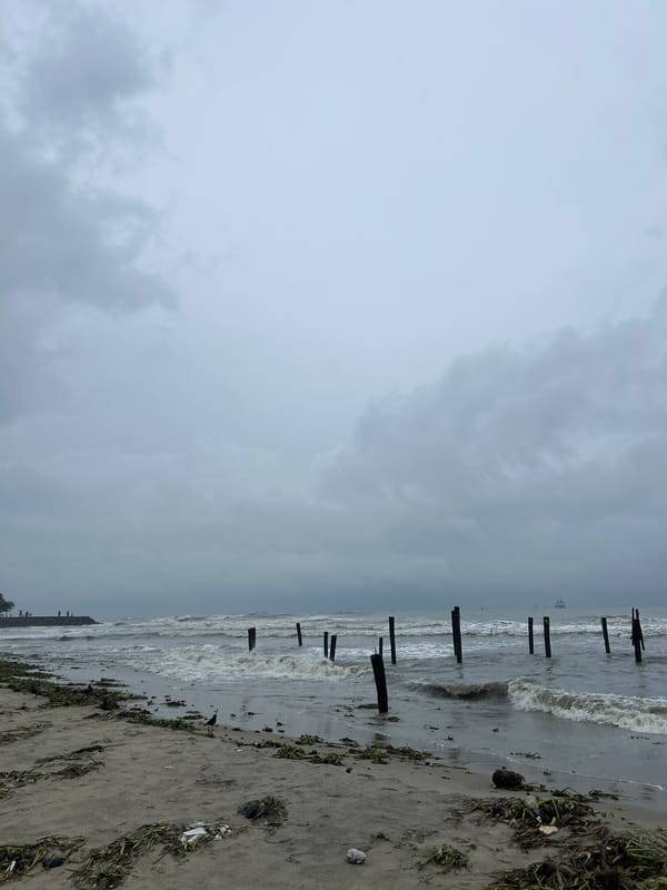 Morning scenes documented across rainy Kochi during early June 2026