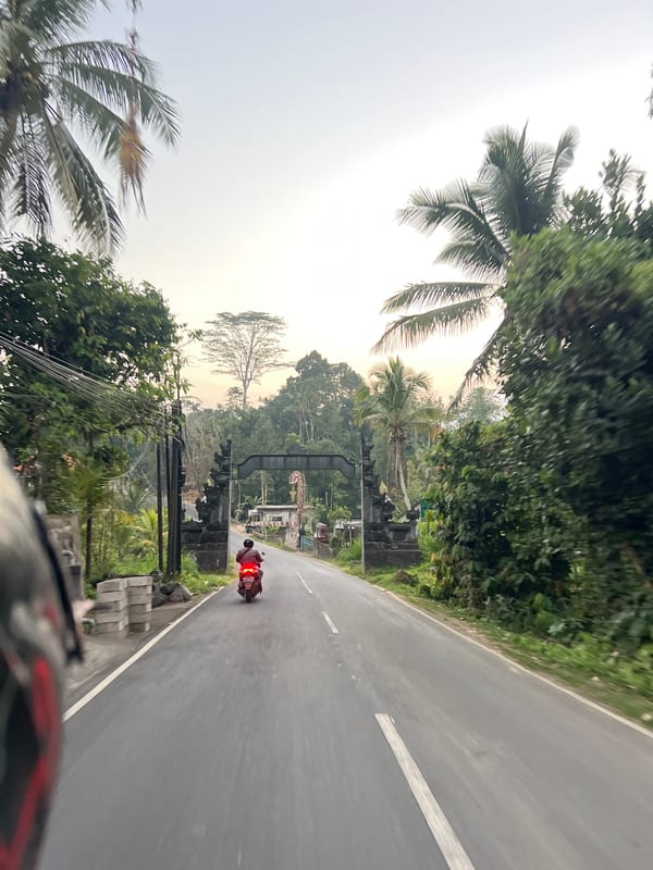 Red scooter heads down a tree-lined road in Tembuku