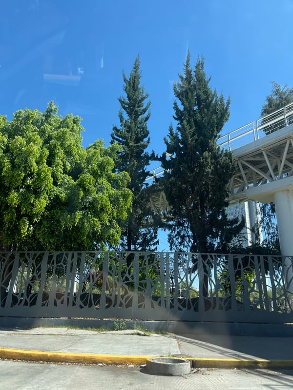 Clear skies and trees observed from vehicle in Puebla