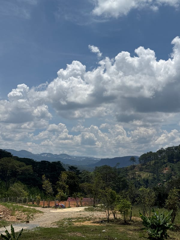 Morning views captured of Vietnam's mountainous Da Lat region