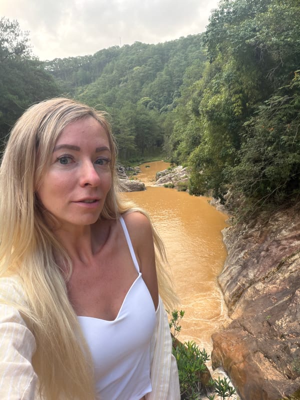 Muddy river and pine forest in Păng Tiêng 1, Vietnam