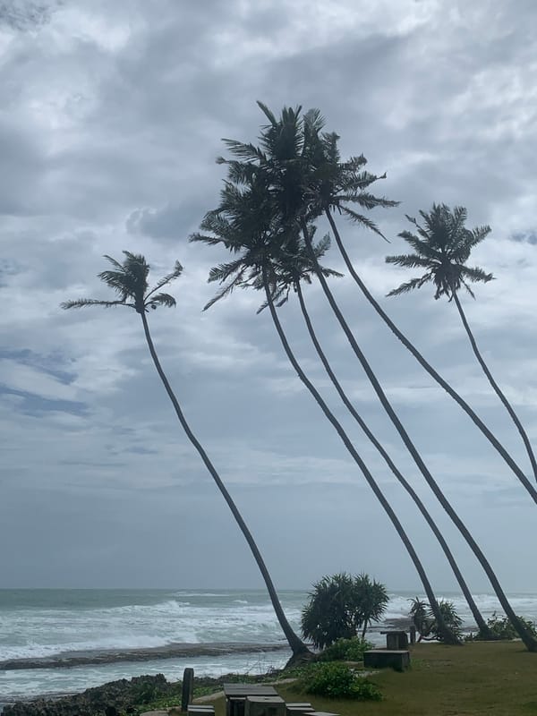 Habaraduwa coastline: waves, palms, and shoreline life