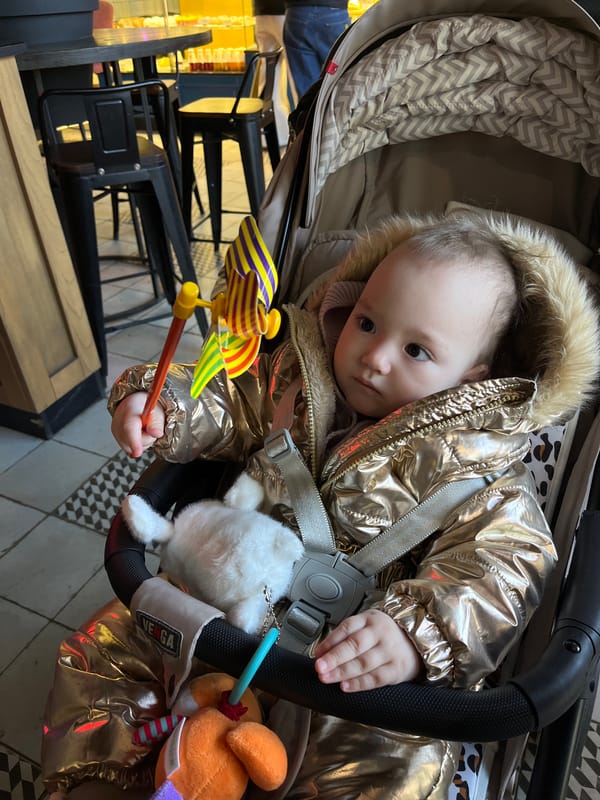 Baby with pinwheel toy spotted in stroller in Shushary