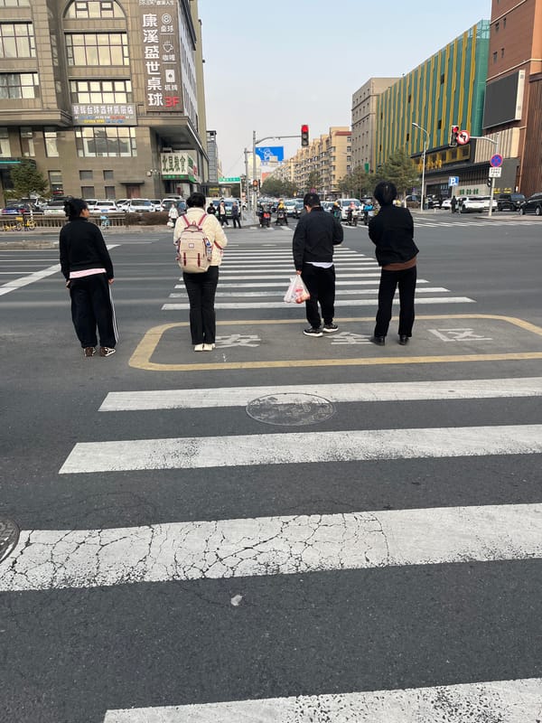 Ordinary street life documented at Changchun intersection