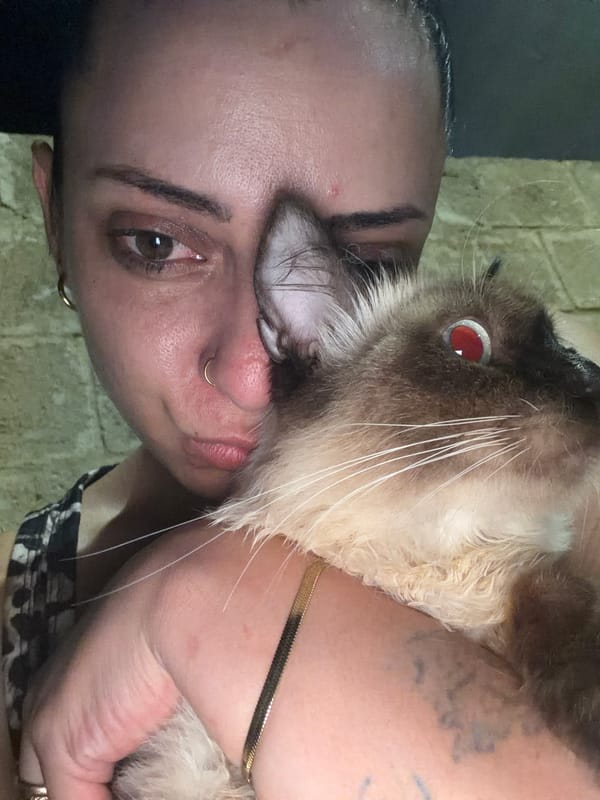 Selfie series with a Siamese cat in rural Puglia