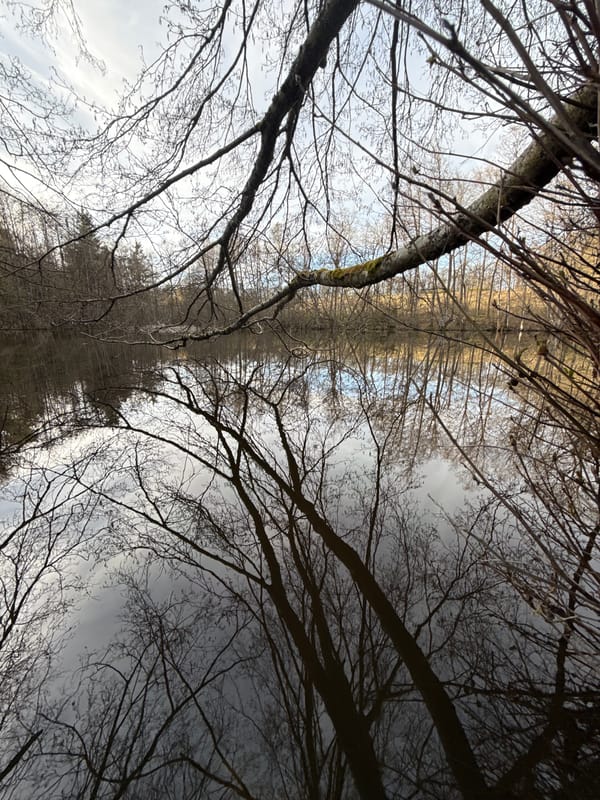 Child plays by water in Luxembourg woods