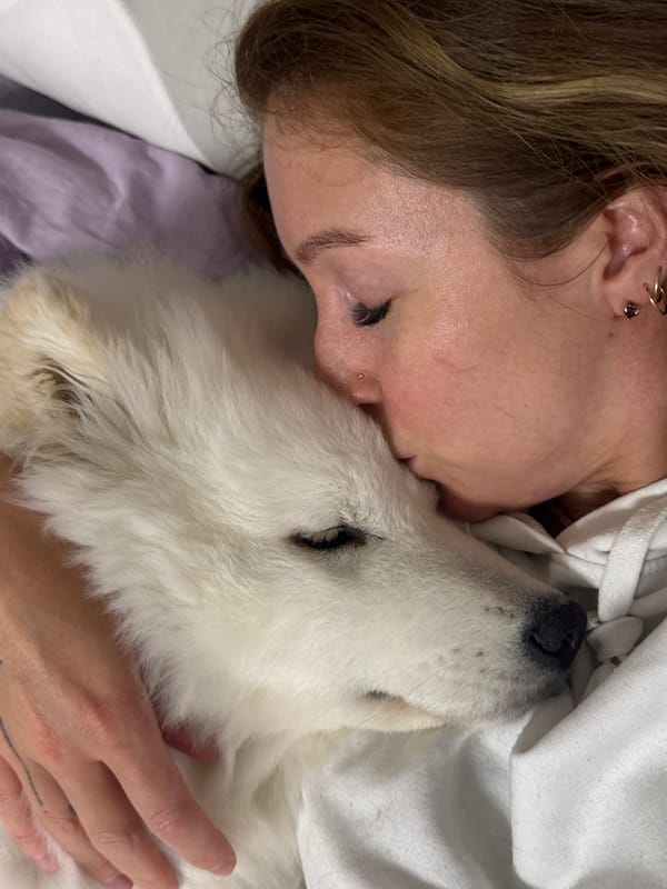 Quiet afternoon moments captured in Chaikovsky: sleeping dog, woman dining