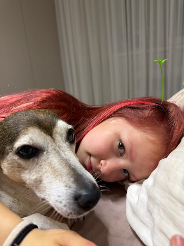 Girl with dog uses phone in bed in Russian villages