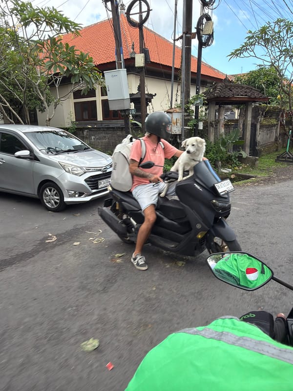Motorcyclist rides with white dog in North Kuta, Indonesia