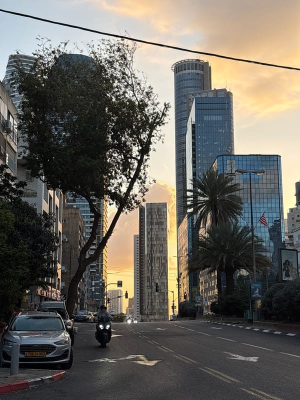 Afternoon scenes in Ramat Gan: urban skyline and dog